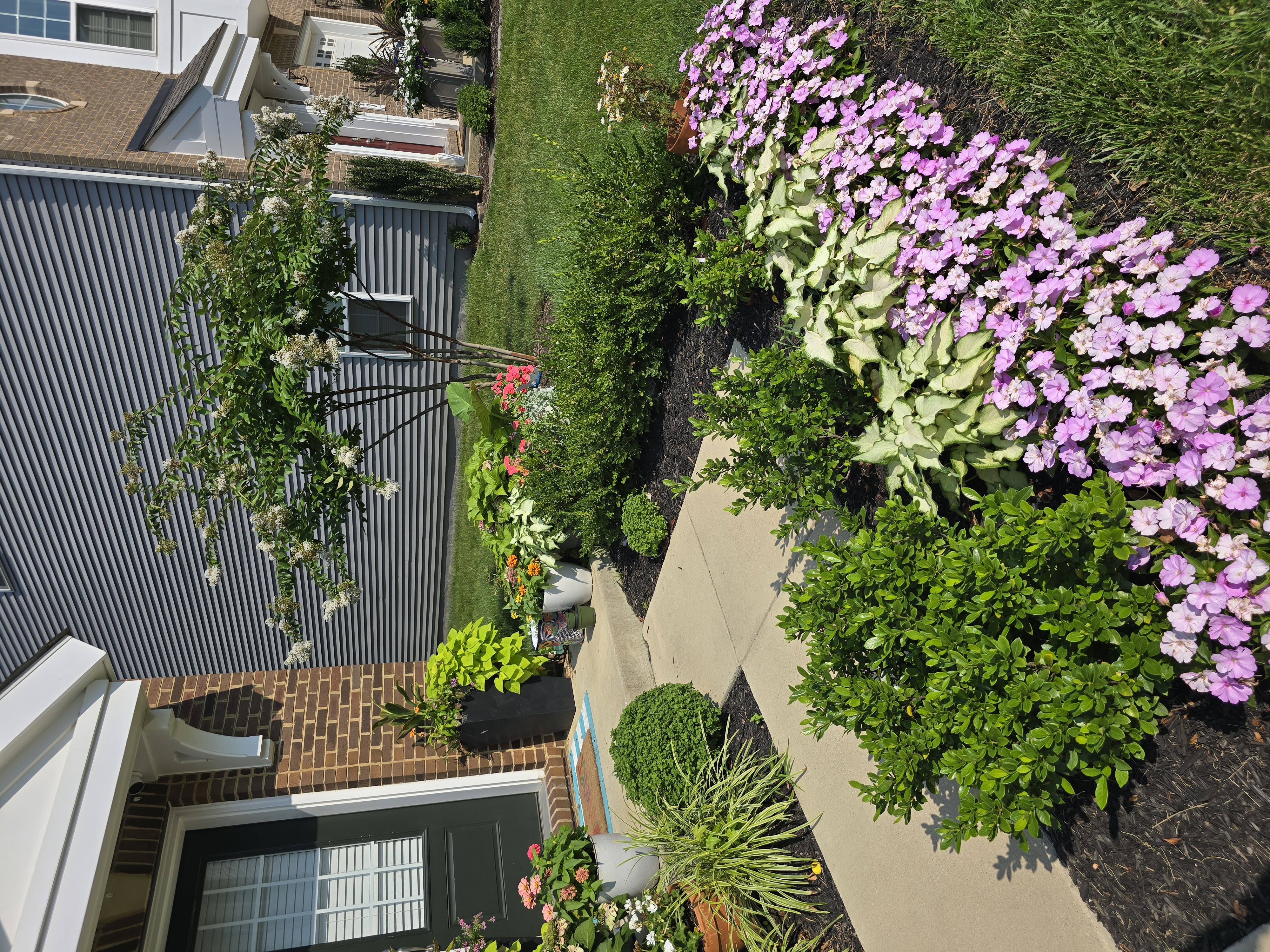 Patio garden