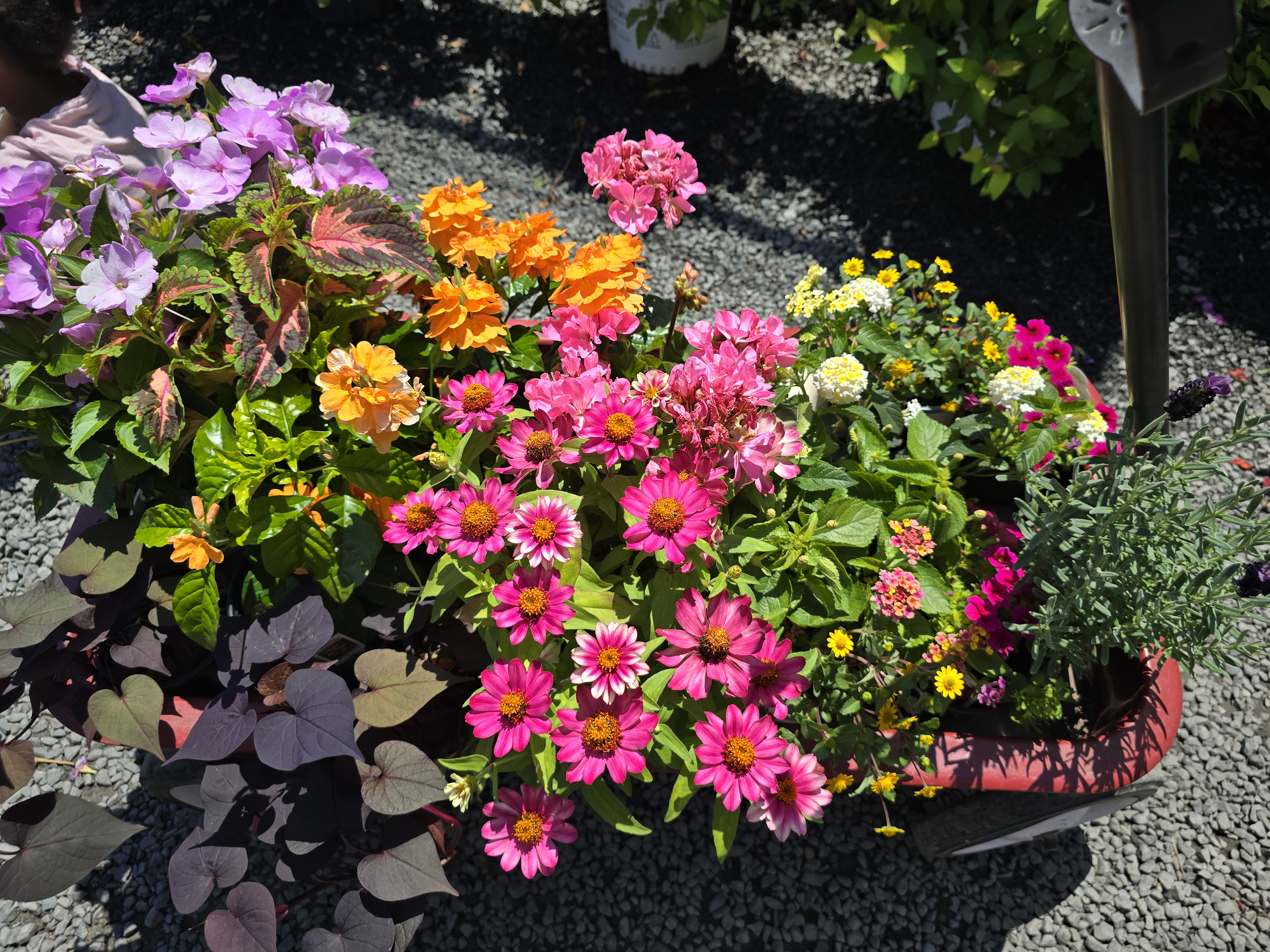 Container garden