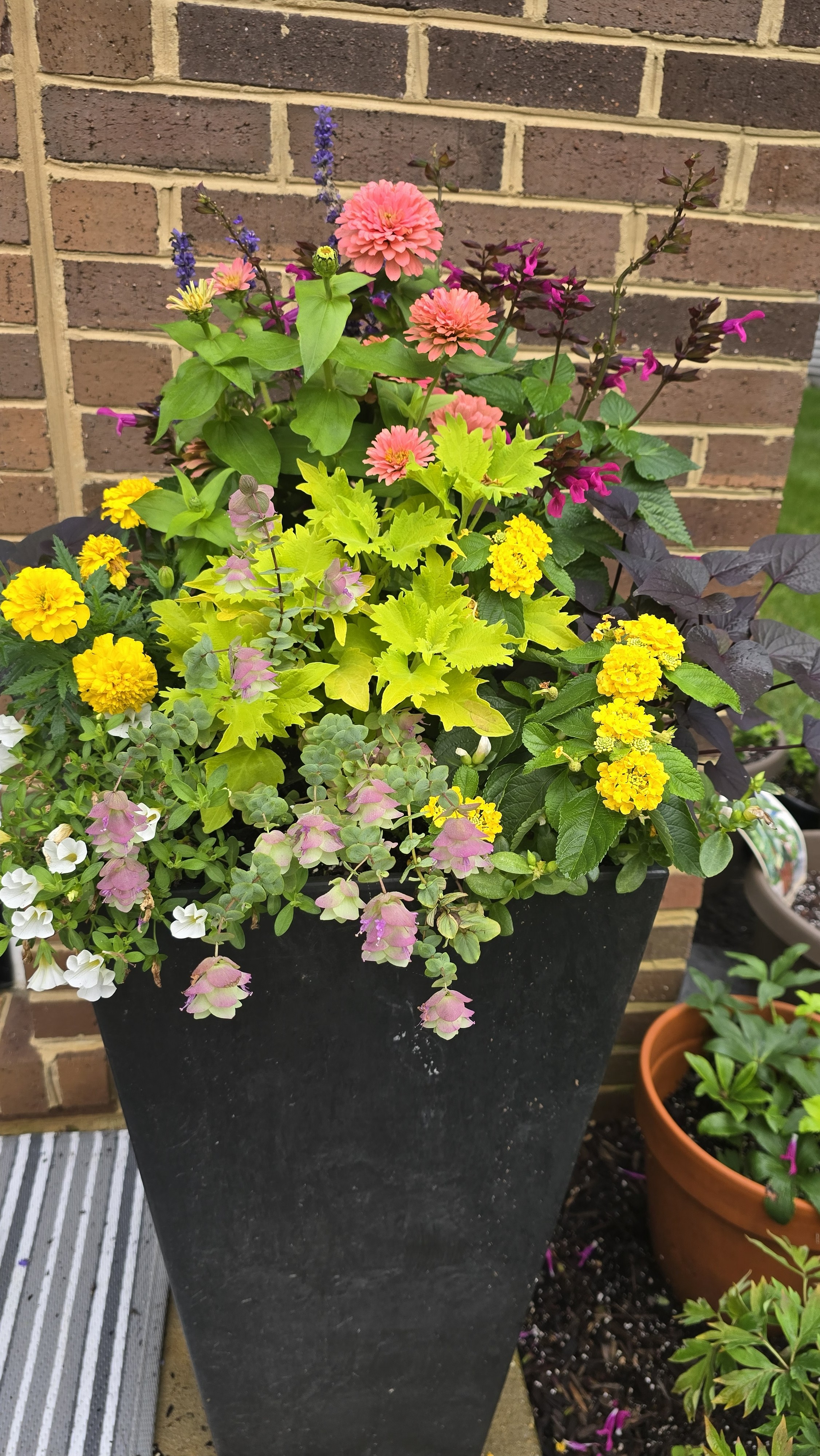 Seasonal planting
